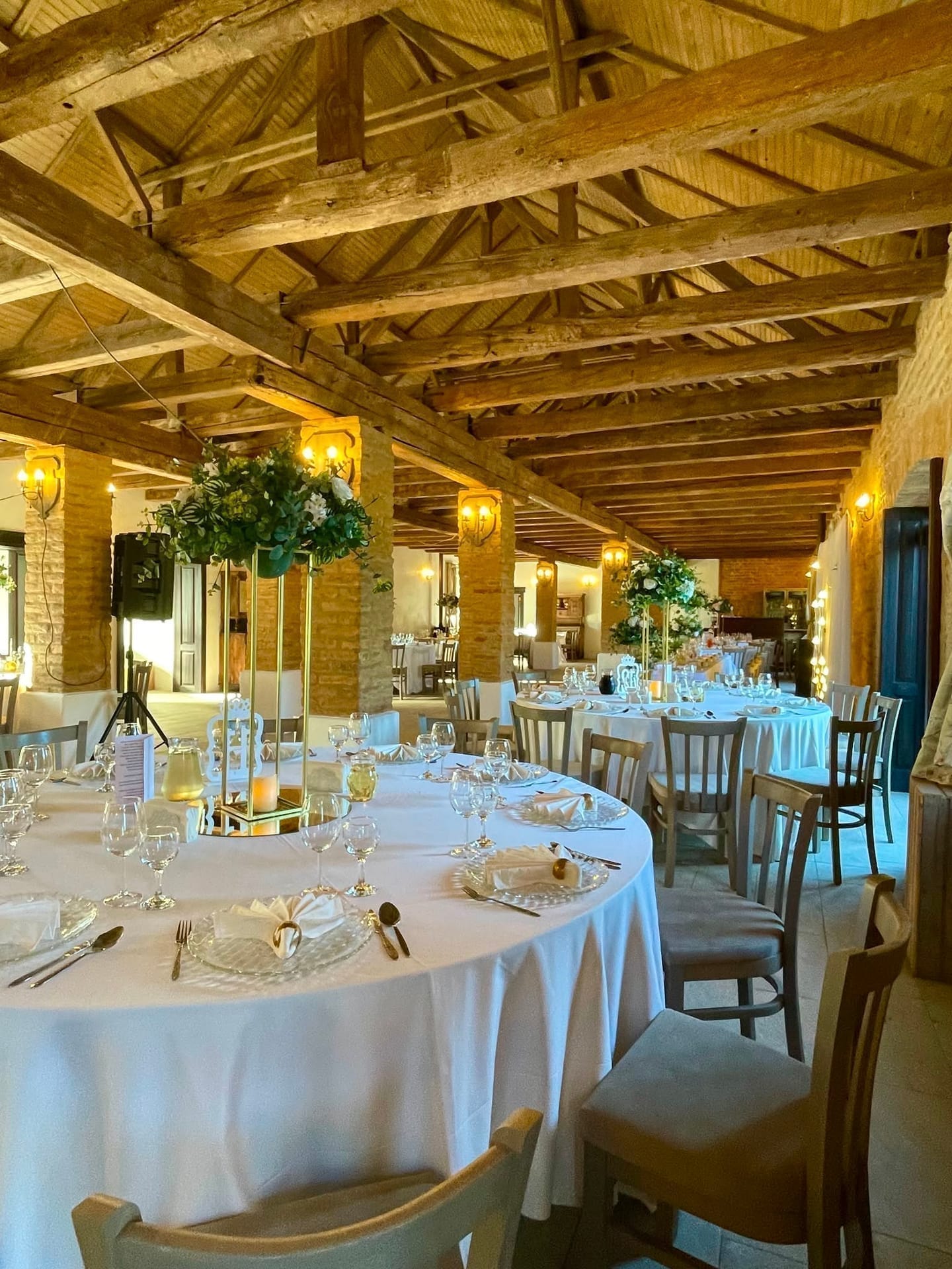 Sala Terezia 26